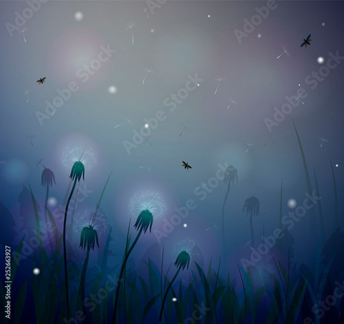 summer night, fairy dandelion at night, fireflight,