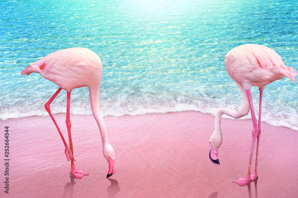 pink flamingo on pink sandy beach and soft blue ocean wave summer concept  background foto de Stock | Adobe Stock