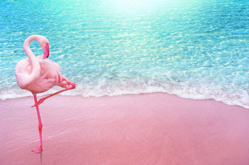 pink flamingo bird sandy beach and soft blue ocean wave summer concept background