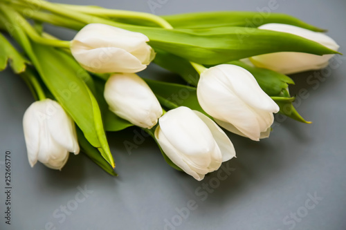White tulips flowers bouquet on grey background, spring beautiful flowers bouquet