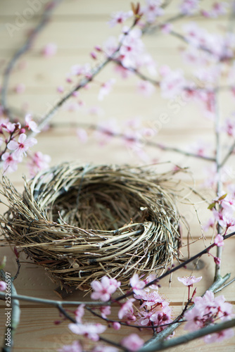 Empty bird nest with the pink, litte flower of japanese plum tree
