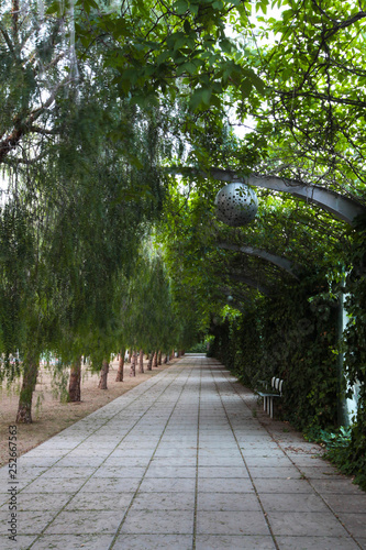 Parc del Centre del Poblenou photo