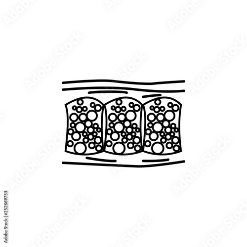 human organ cellulite outline icon. Signs and symbols can be used for web, logo, mobile app, UI, UX