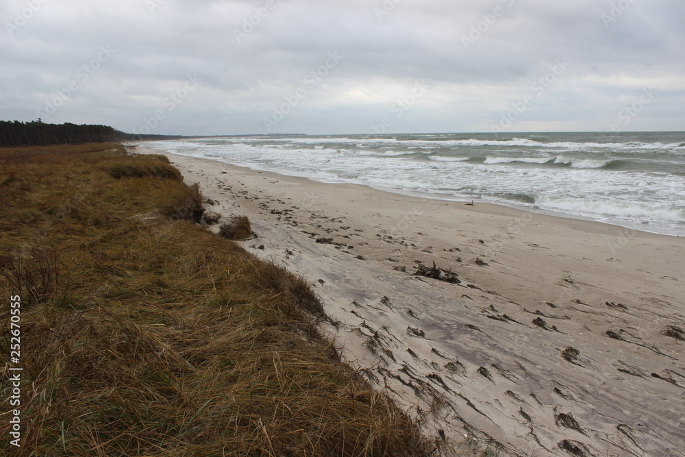 Strand Weststrand Prerow Fischland Darß Strand Weststrand Prerow Fischland Darß