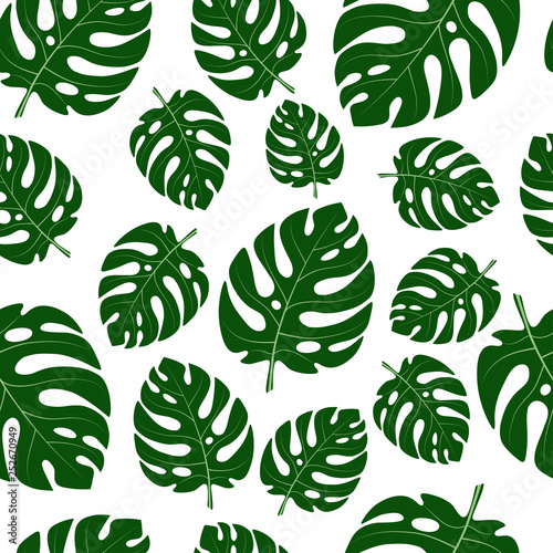 Large green leaves of a tropical monstera plant on a white background. Seamless pattern. Vector illustration for your design.