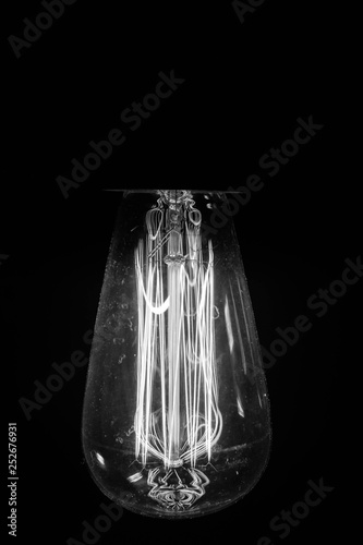 Monochrome Edison bulb macro  © Alona