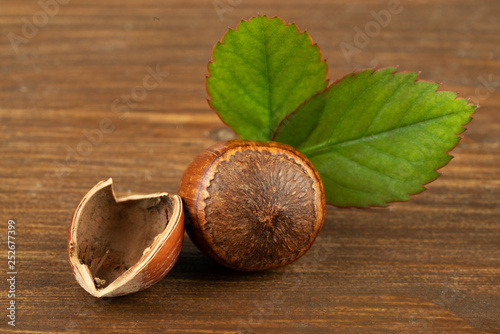 shelled hazel nuts photo