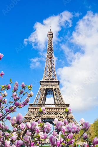 Fototapeta Naklejka Na Ścianę i Meble -  Eiffel tower close up, France