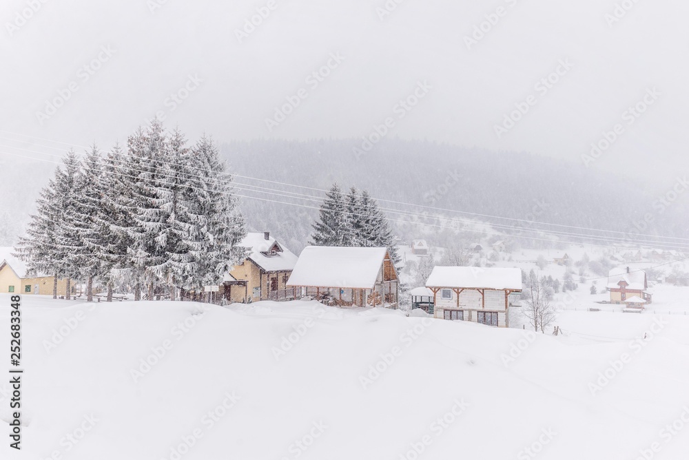 Rural winter landscape with houses and trees.