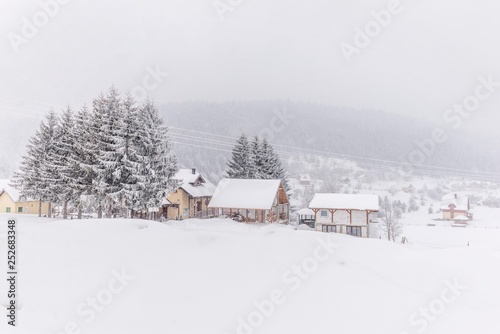 Rural winter landscape with houses and trees.
