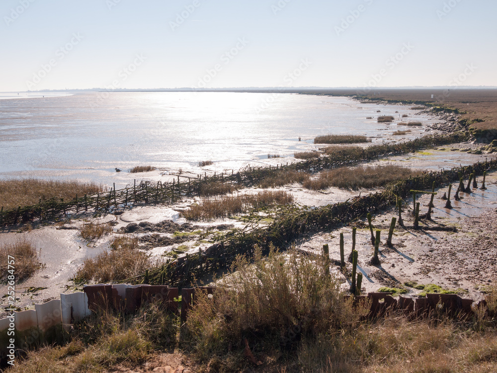 Fingringhoe wick nature reserve outside landscape background space open country countryside