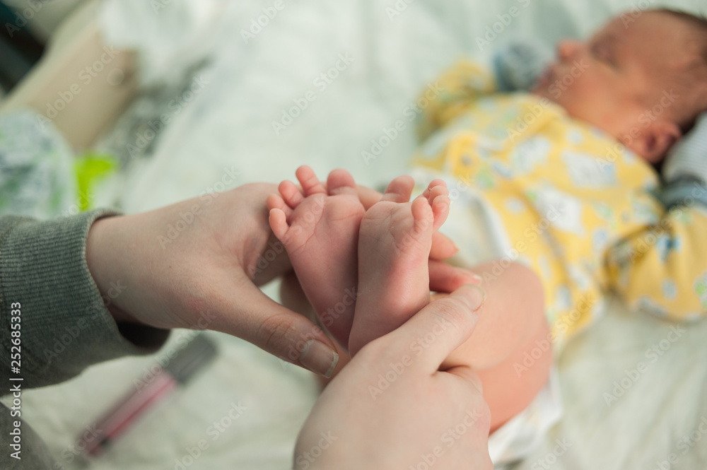 baby feet in mother's hands baby feet in mother's hands