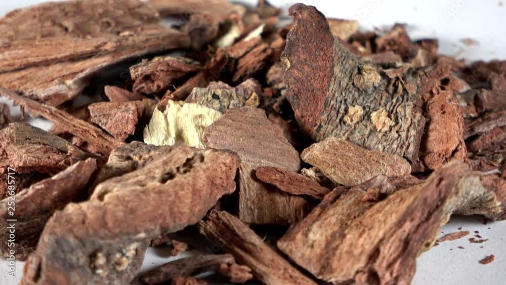 Dehydrated pieces of cuachalalate bark spinning video