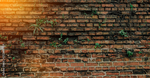 Brick wall with red bricks. An old, ruined red brick wall. Concept of background, abandoned places.