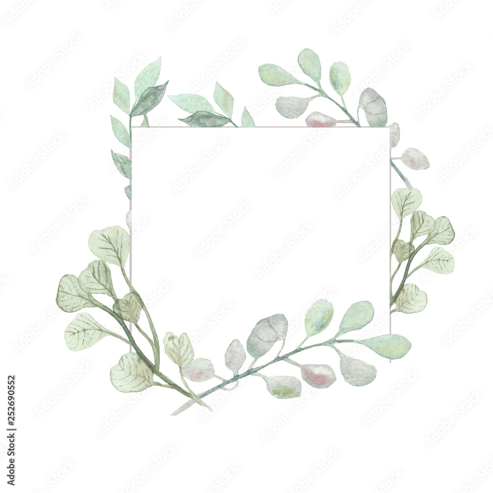 Watercolor frame of branches of medicinal eucalyptus on a white background, hand-painted watercolor. Spring illustration of delicate floral patterns for beautiful design of posters, cards, invitations