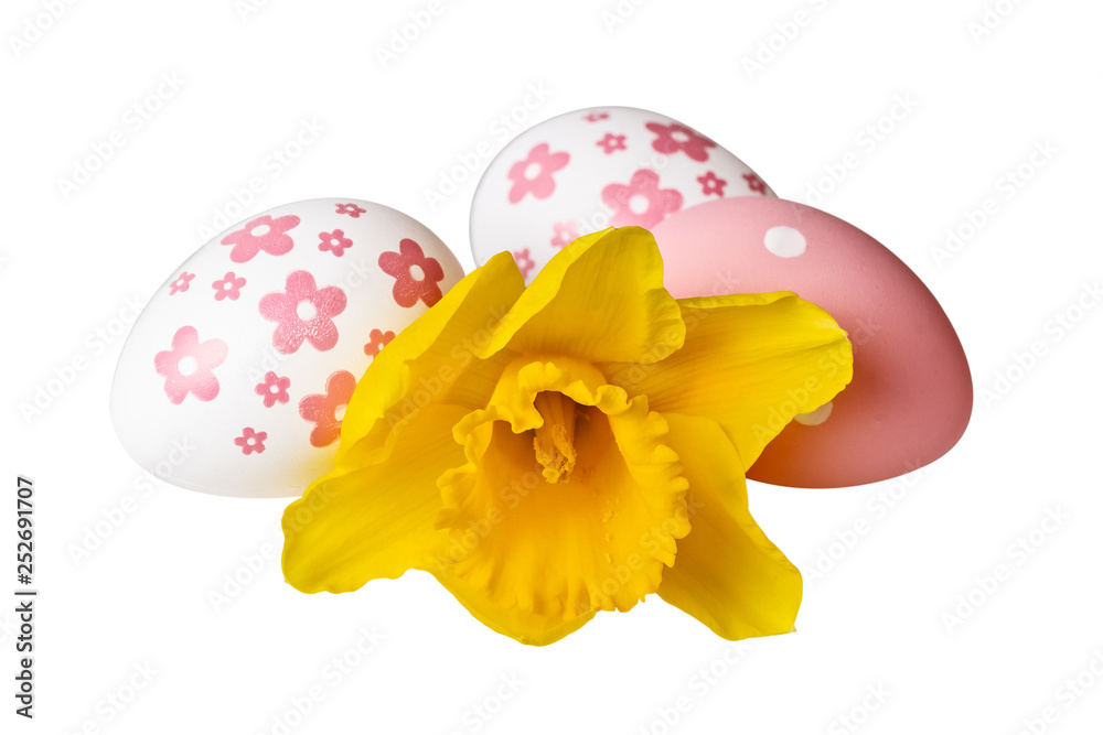 Easter eggs with yellow daffodil flower on white. Image included clipping path Easter eggs with yellow daffodil flower on white. Image included clipping path