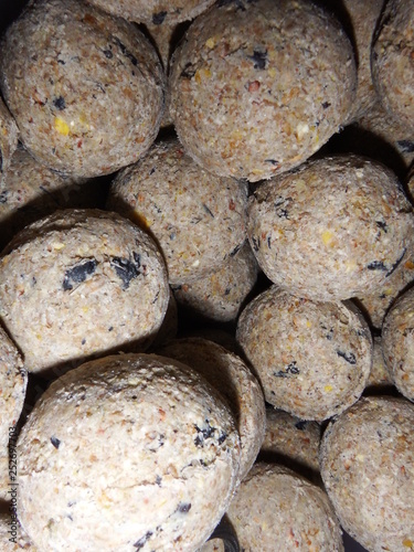 Bird Food - Fat balls