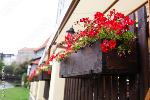 Fototapeta Naklejka Na Ścianę i Meble -  Street decorated with wooden flower pots. Empty space