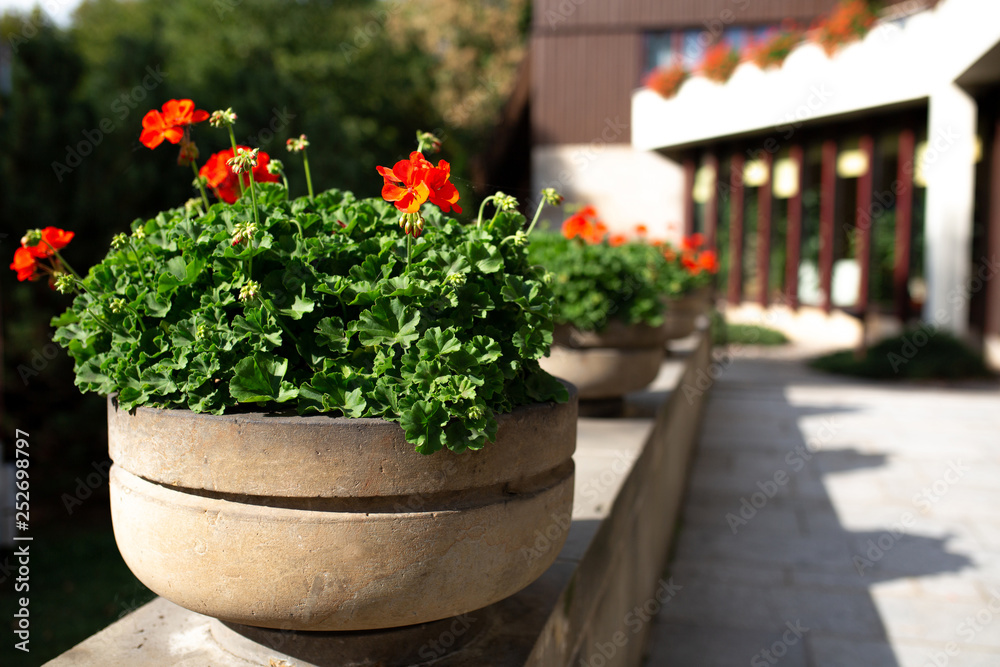 Fototapeta premium Street decorated with concrete flower beds. Empty space
