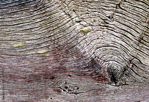 Detail of a weathered wooden plank