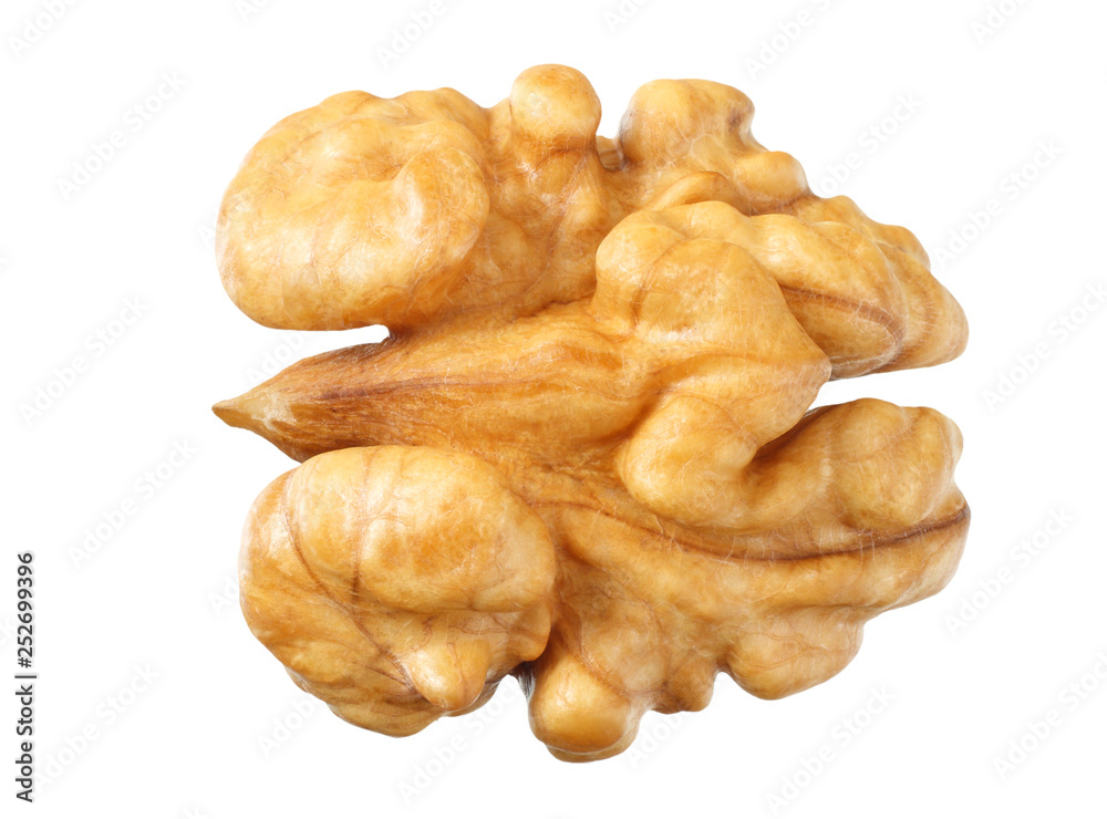one walnut isolated on white background top view one walnut isolated on white background top view