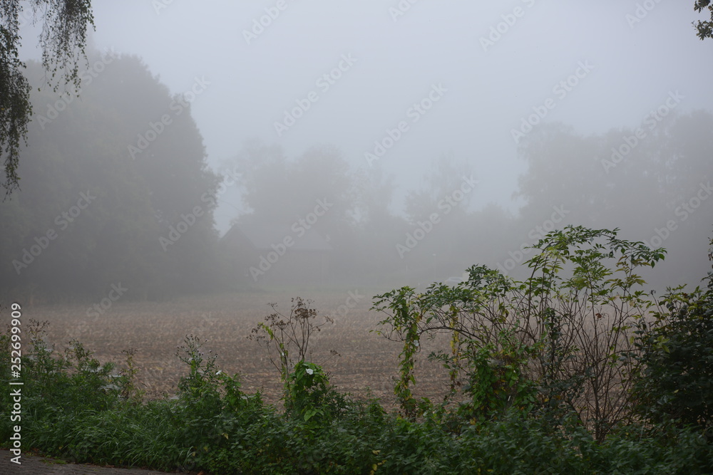 Hebstnebel Hebstnebel
