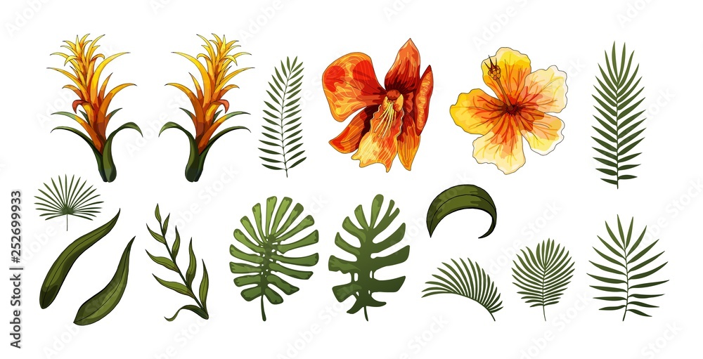 Exotic Flowers, Tropical Leaves design elements. Vector floral illustrations