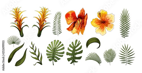 Exotic Flowers  Tropical Leaves design elements. Vector floral illustrations