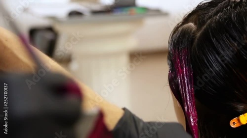 Professional hairdresser dyeing hair.