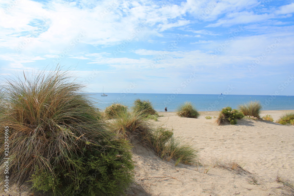 Natural and wild beach with a beautiful and vast area of dunes, Camargue region in the South of Montpellier, France Natural and wild beach with a beautiful and vast area of dunes, Camargue region in the South of Montpellier, France