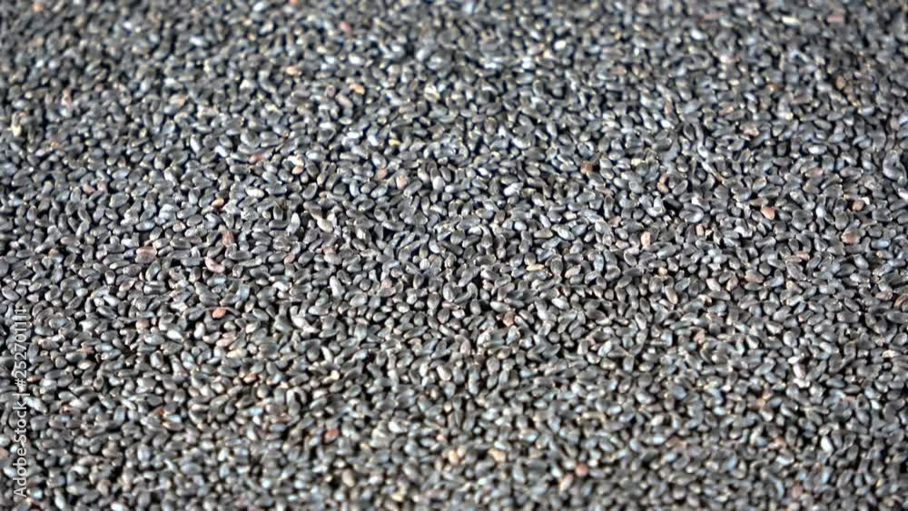 Dehydrated basil seed spice spinning video Dehydrated basil seed spice spinning video