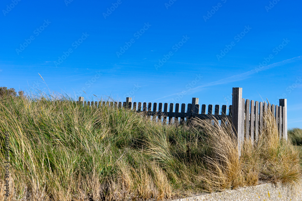 Strandhfer und Zaun