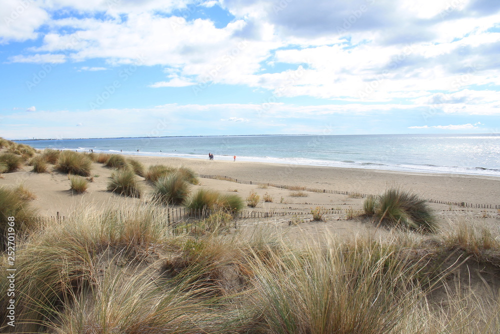 Natural and wild beach with a beautiful and vast area of dunes, Camargue region in the South of Montpellier, France Natural and wild beach with a beautiful and vast area of dunes, Camargue region in the South of Montpellier, France