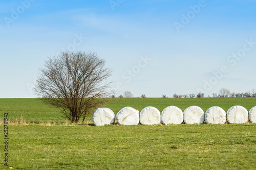 Stacked and packed hay bales.