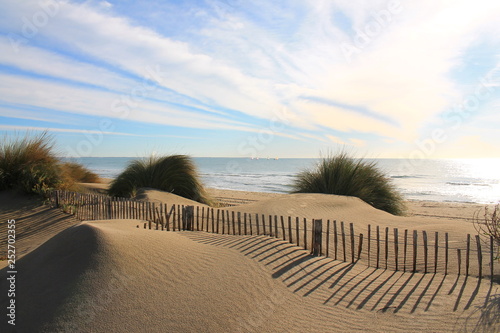 Natural and wild beach with a beautiful and vast area of dunes, Camargue region in the South of Montpellier, France photo