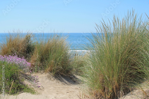 Natural and wild beach with a beautiful and vast area of dunes, Camargue region in the South of Montpellier, France © Picturereflex