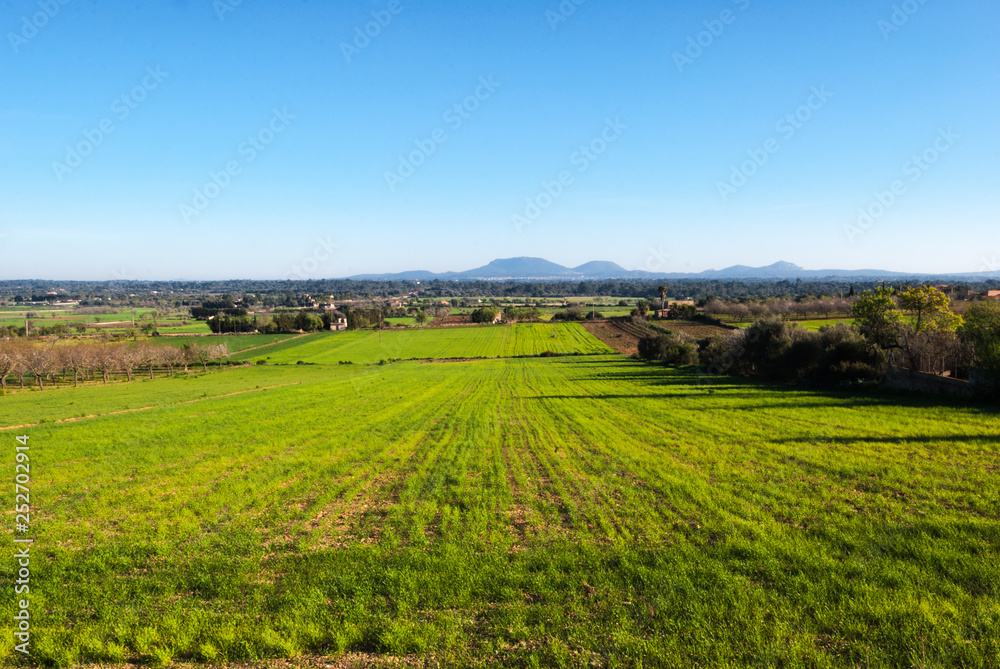 GREEN MEADOW WITH MOUNTAINS AT THE END