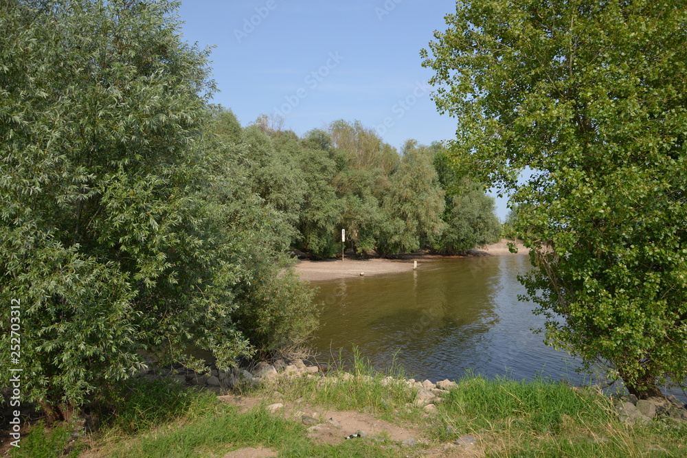 Obraz premium Rhein