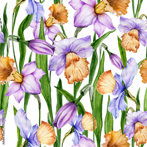 Beautiful narcissus flowers with leaves on white background. Seamless spring ...
