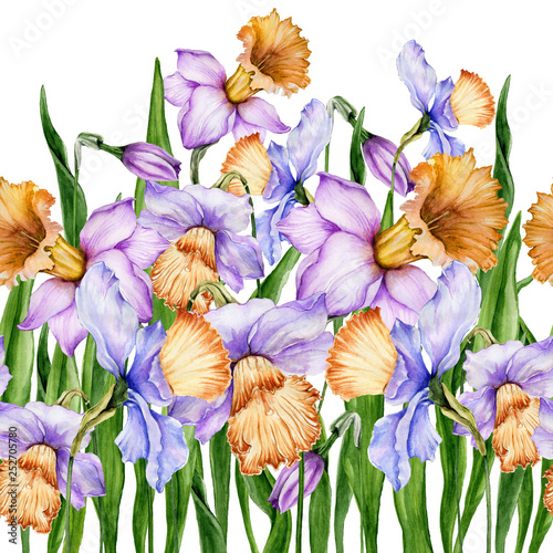 Beautiful purple narcissus flowers on white background. Seamless floral pattern. Watercolor painting. Hand drawn spring illustration