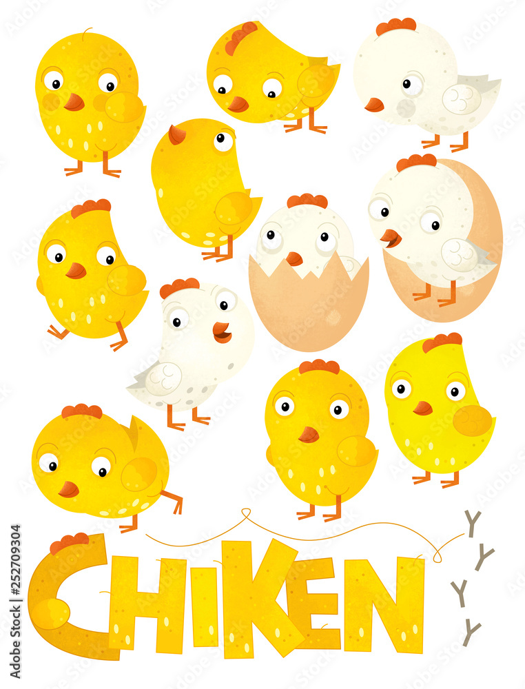 cartoon scene with set of chicken on white background - illustration for children