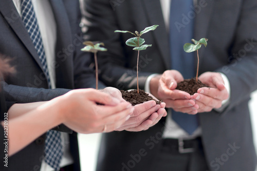 fragile sprouts in the hands of the business team © ASDF
