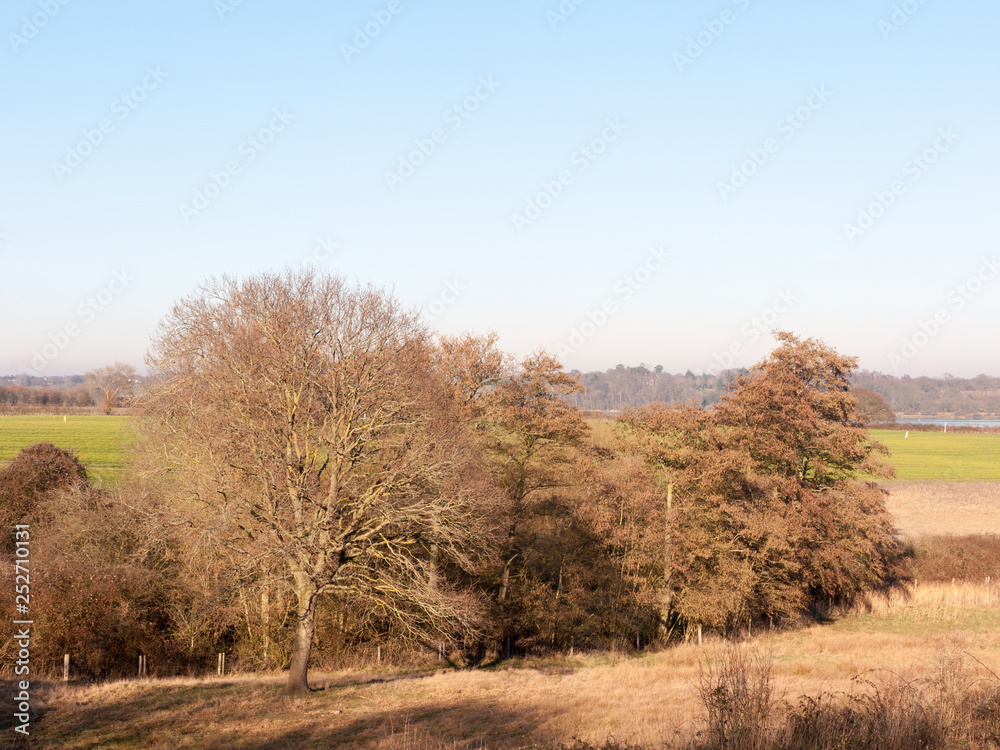 Fingringhoe wick nature reserve outside landscape background space open country countryside