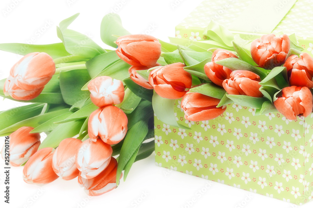 spring tulips and gift box on white background spring tulips and gift box on white background
