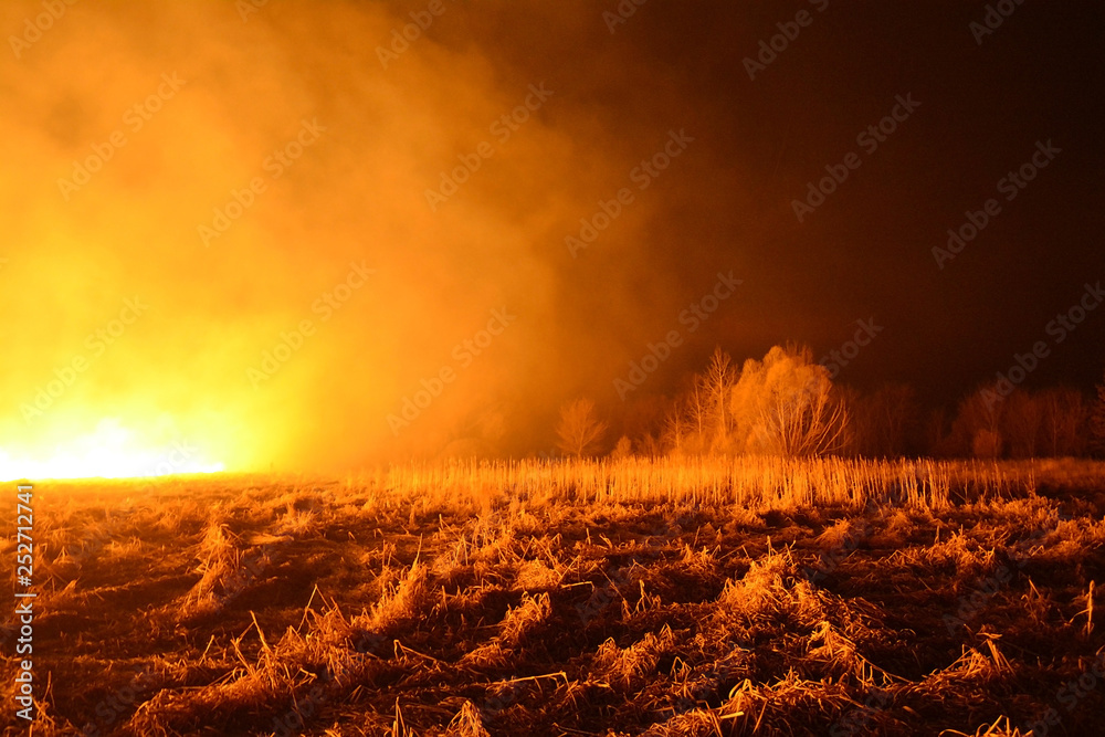 Forest fire spreading through the trees and field at night. Dreadful view of burning old forest by uncontrolled fire - obrazy, fototapety, plakaty 