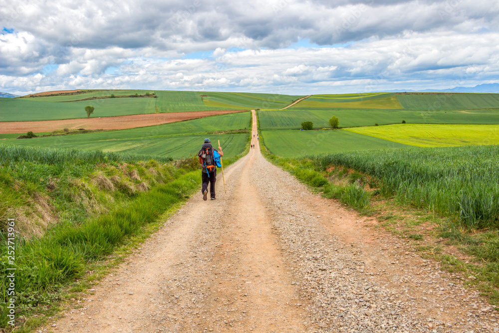 Rear view of a male pilgrim on an unpaved country road on the Way of St. James, Camino de Santiago between Ciruena and Santo Domingo de la Calzada in La Rioja, Spain under a beautiful overcast May sky