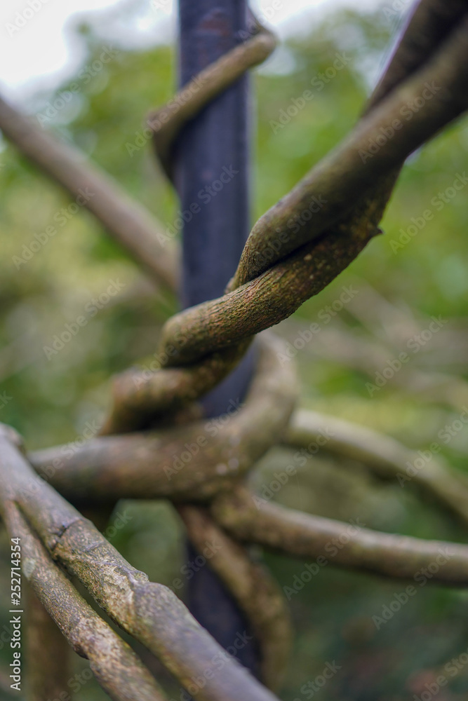 chain on fence chain on fence