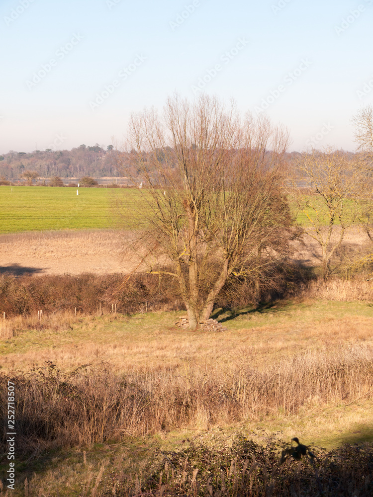 Fototapeta premium Fingringhoe wick nature reserve outside landscape background space open country countryside