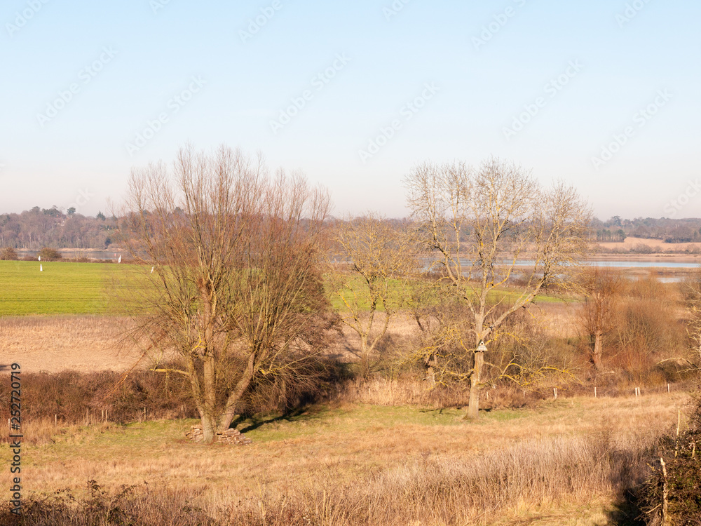 Fototapeta premium Fingringhoe wick nature reserve outside landscape background space open country countryside