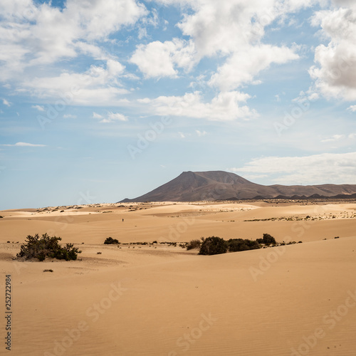 Nature reserve Dunes of Corralejo. Fuerteventura. Canary Islands. Spain 